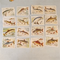 Naturtro fisk, 16 stk. forskellige gamle glansbilleder.